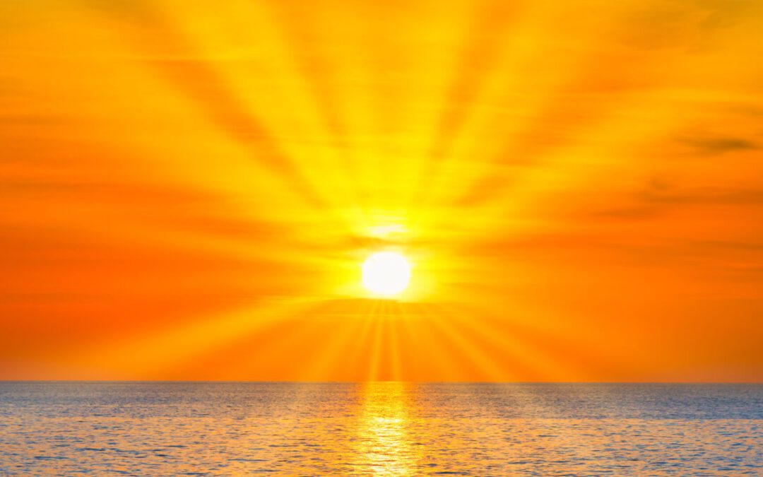 Vitamin D – das Superhormon