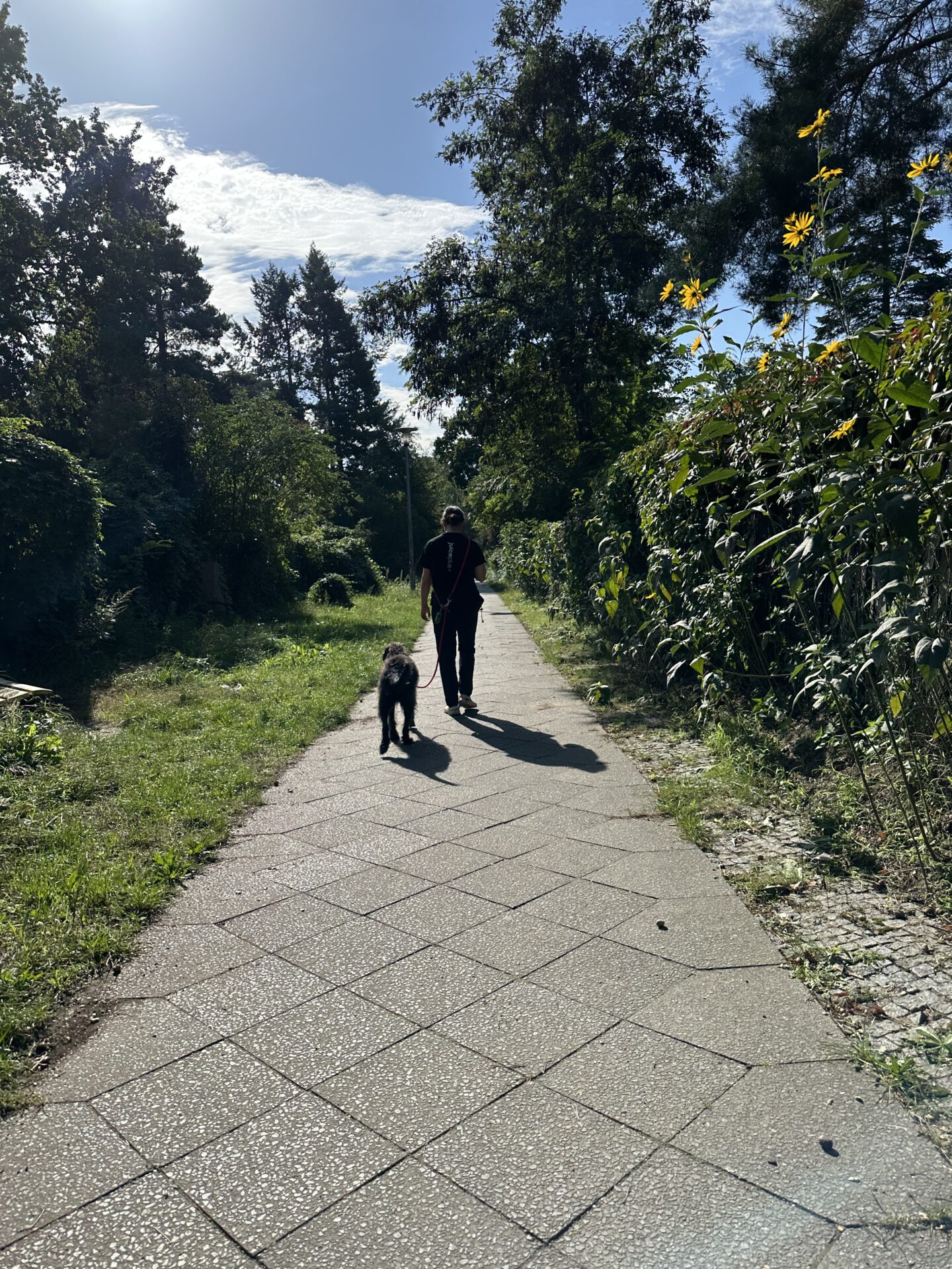 Persönliches Foto zum Sonntagsspaziergang von Viney Lugani.